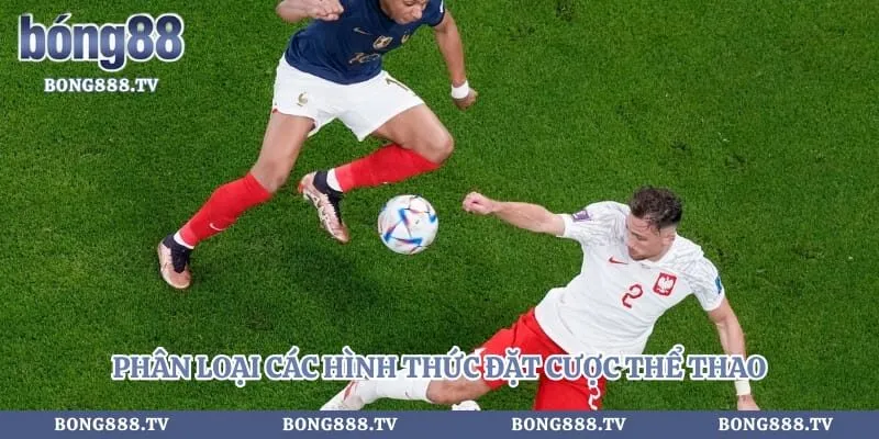 Kèo nhà cái Hình số 2 tại gogabil.in Phân loại các hình thức đặt cược thể thao