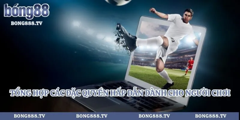 Về chúng tôi Hình số 3 tại gogabil.in Tổng hợp các đặc quyền hấp dẫn dành cho người chơi